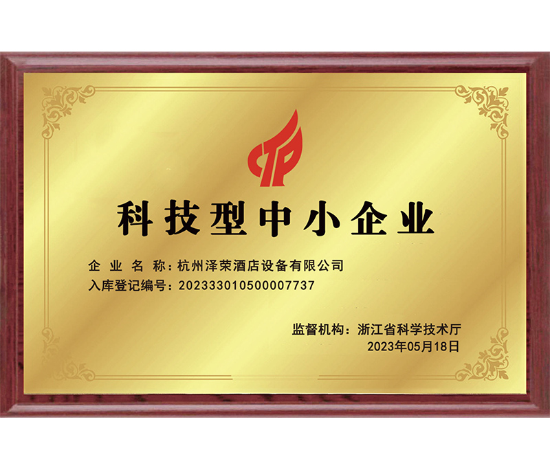 科技型中小企業(yè)